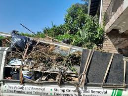 Best Hoarding Cleanup  in Romulus, MI
